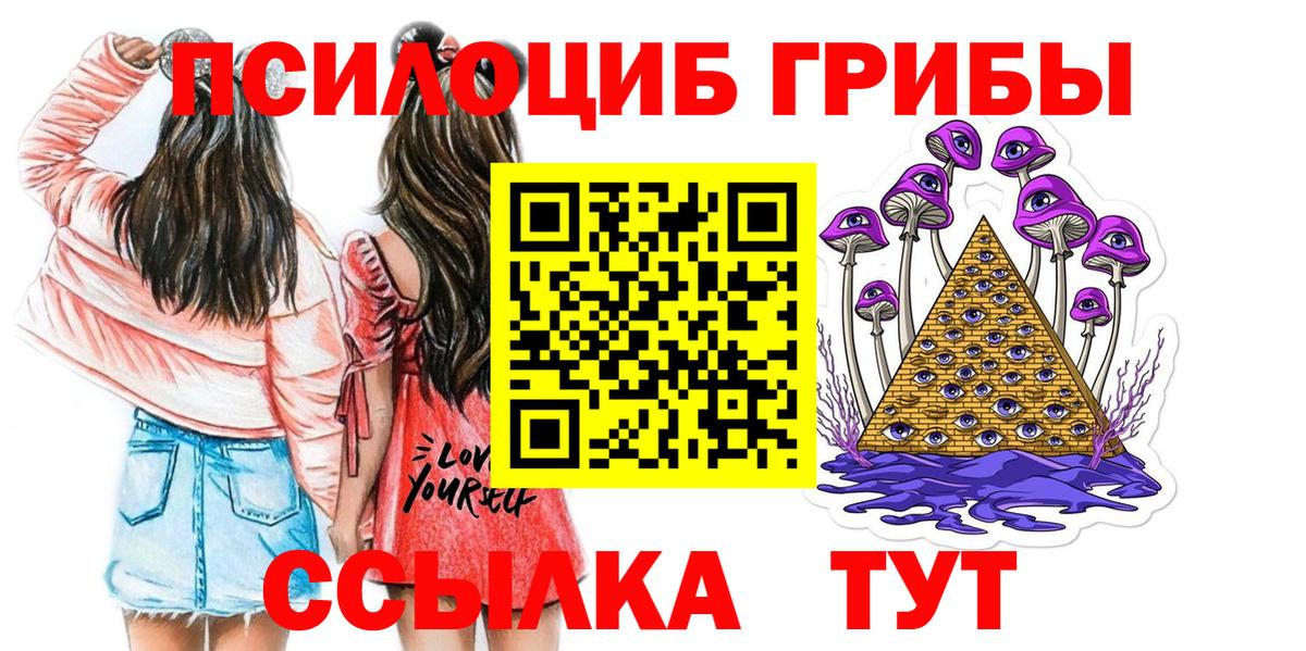 Щёкино  Галлюциногенные грибы прущие грибы  Вход с VPN 
