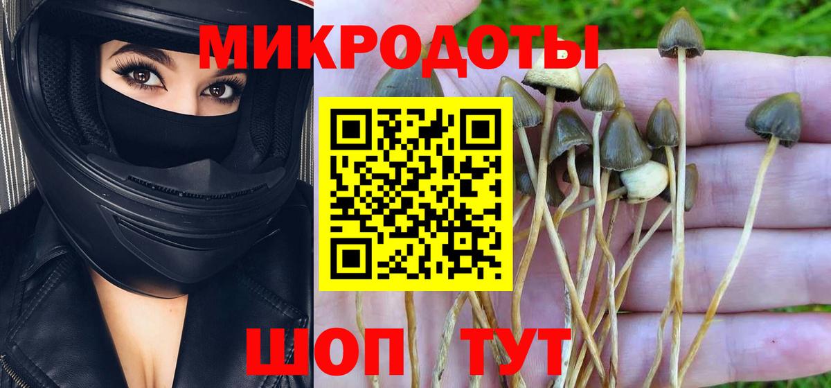 Псилоцибиновые грибы GOLDEN TEACHER Щёкино